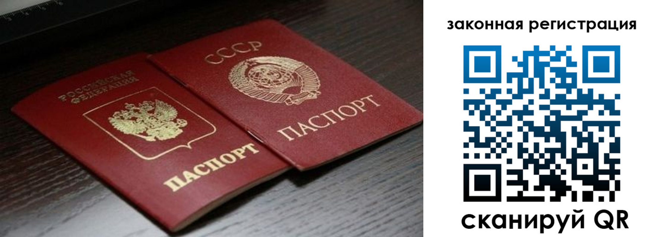 прописка поиск в Карабаново